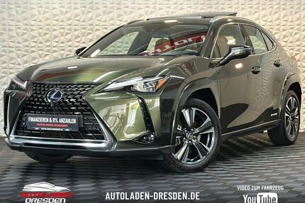 Lexus UX Gebrauchtwagen