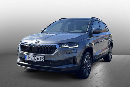 Skoda Karoq Gebrauchtwagen