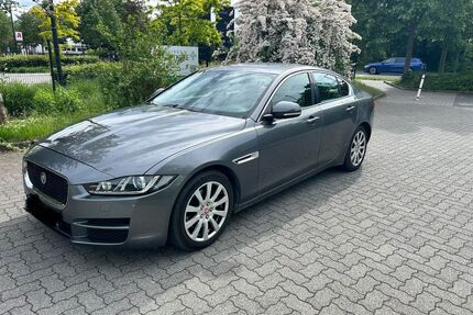 Jaguar XE Gebrauchtwagen