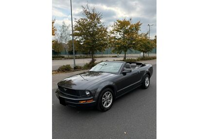 Ford Mustang Gebrauchtwagen