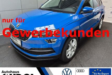 Skoda Karoq Gebrauchtwagen