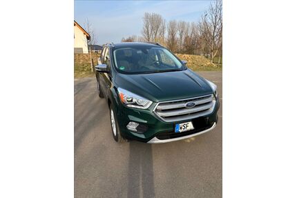 Ford Kuga Gebrauchtwagen