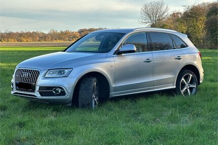 Audi Q5 Gebrauchtwagen