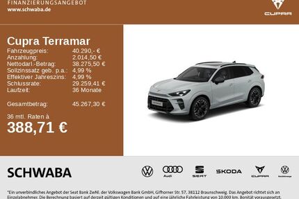 Cupra Terramar Gebrauchtwagen