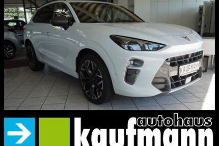 Cupra Terramar Gebrauchtwagen
