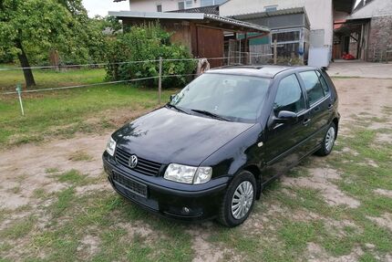 VW Polo Gebrauchtwagen