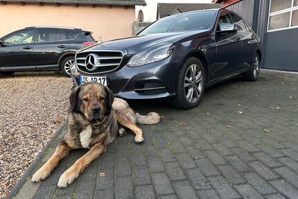 Mercedes-Benz E 300 Gebrauchtwagen