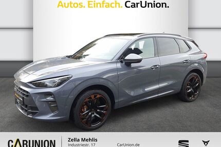 Cupra Terramar Gebrauchtwagen