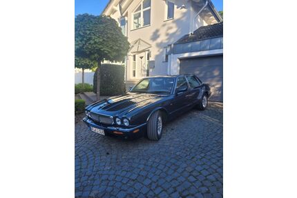 Jaguar XJ8 Gebrauchtwagen