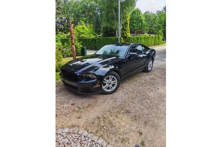 Ford Mustang Gebrauchtwagen