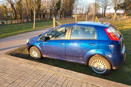 Fiat Punto Gebrauchtwagen