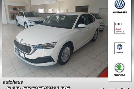 Skoda Octavia Gebrauchtwagen