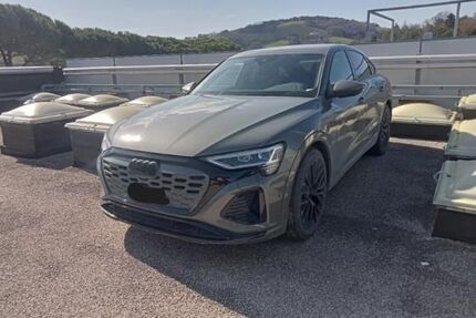 Audi Q8 e-tron Gebrauchtwagen