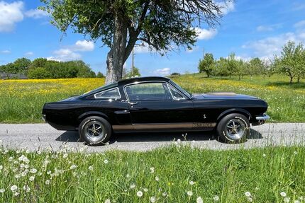 Ford Mustang Gebrauchtwagen