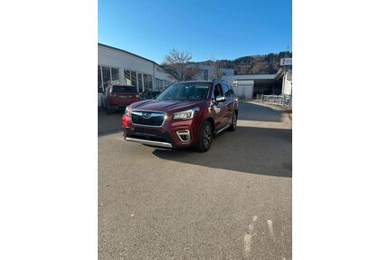 Subaru Forester Gebrauchtwagen