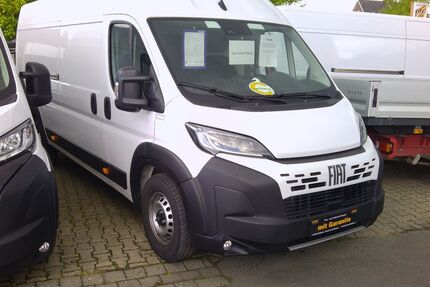Fiat Ducato Gebrauchtwagen