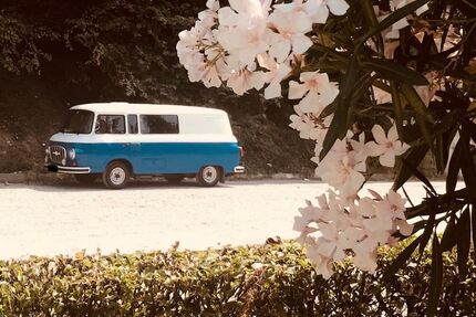BARKAS B1000 Gebrauchtwagen