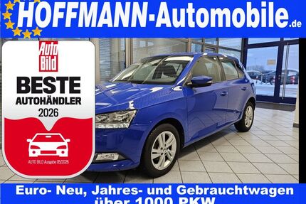 Skoda Fabia Gebrauchtwagen