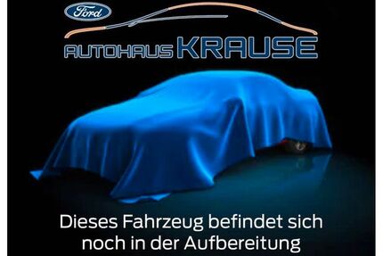 Ford Tourneo Courier Gebrauchtwagen