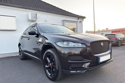 Jaguar F-Pace Gebrauchtwagen
