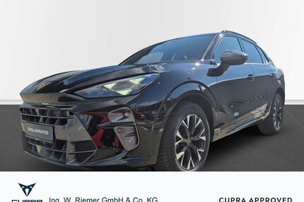 Cupra Terramar Gebrauchtwagen