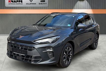 Cupra Terramar Gebrauchtwagen