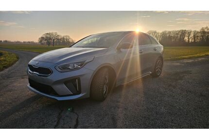 Kia pro ceed / ProCeed Gebrauchtwagen