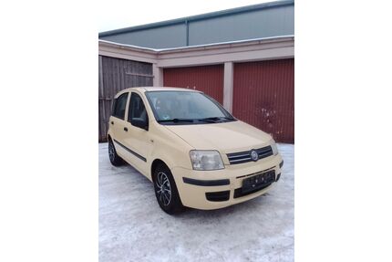 Fiat Panda Gebrauchtwagen