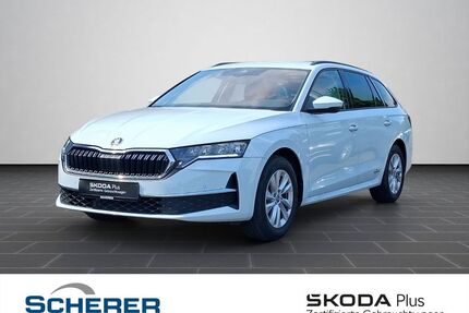 Skoda Octavia Gebrauchtwagen
