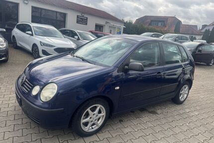 VW Polo Gebrauchtwagen