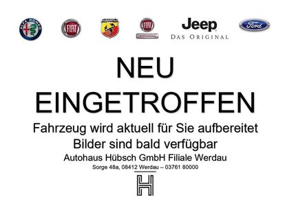 Fiat 500 Gebrauchtwagen