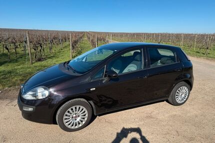 Fiat Punto Evo Gebrauchtwagen