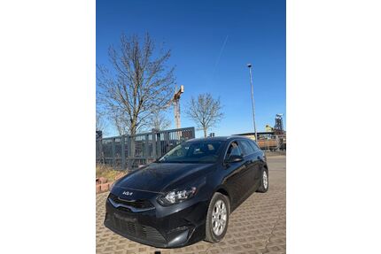 Kia ceed / Ceed Gebrauchtwagen
