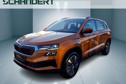 Skoda Karoq Gebrauchtwagen