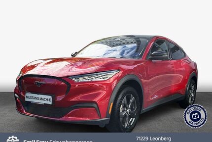 Ford Mustang Mach-E Gebrauchtwagen