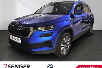 Skoda Karoq Gebrauchtwagen