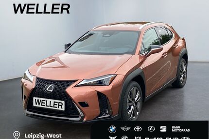 Lexus UX Gebrauchtwagen