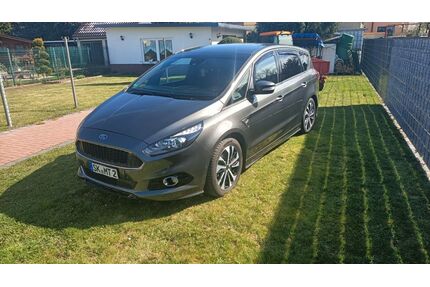 Ford S-Max Gebrauchtwagen