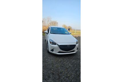 Mazda 2 Gebrauchtwagen