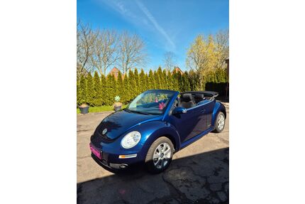 VW New Beetle Gebrauchtwagen