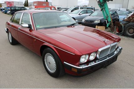 Jaguar XJ40 Gebrauchtwagen