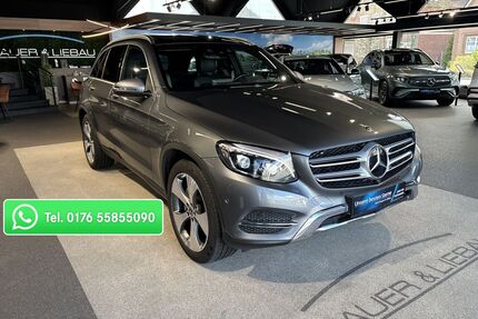 Mercedes-Benz GLC 250 Gebrauchtwagen
