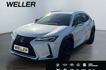 Lexus UX Gebrauchtwagen