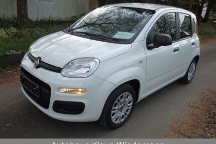 Fiat New Panda Gebrauchtwagen