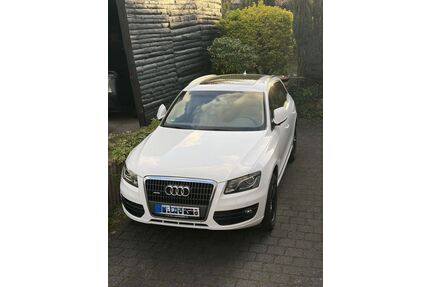 Audi Q5 Gebrauchtwagen