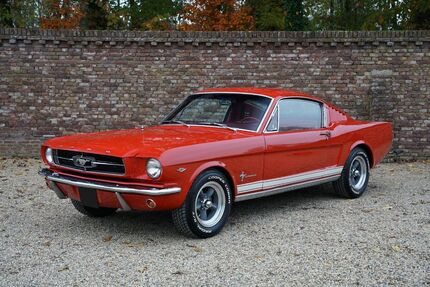Ford Mustang Gebrauchtwagen