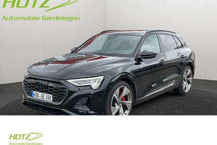 Audi Q8 e-tron Gebrauchtwagen