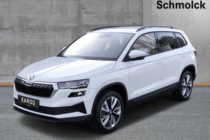Skoda Karoq Gebrauchtwagen