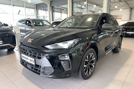 Cupra Terramar Gebrauchtwagen