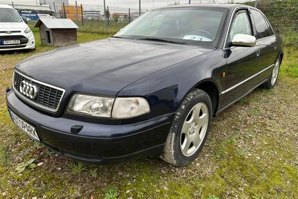 Audi S8 Gebrauchtwagen
